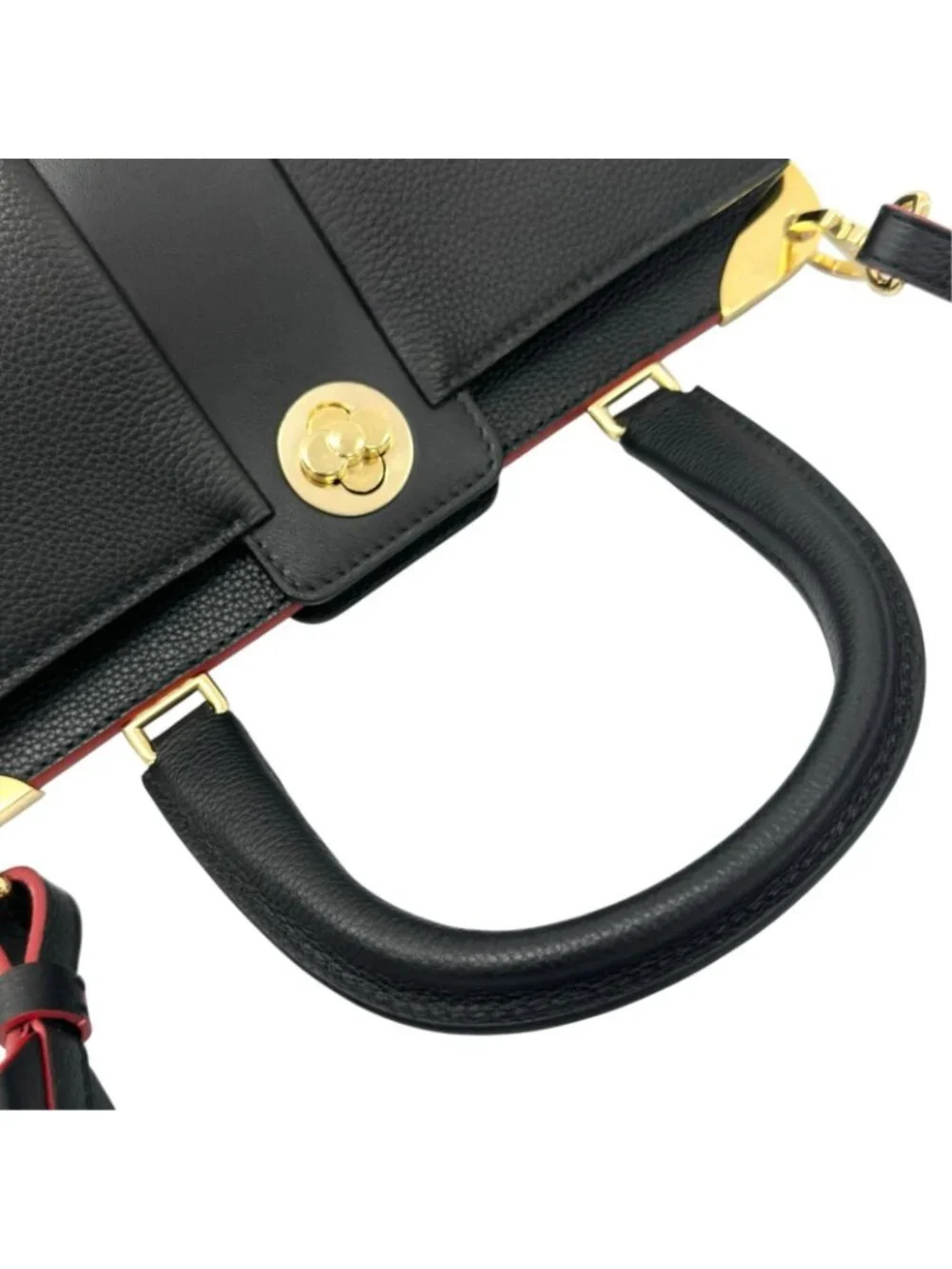 Louis Vuitton brand louis